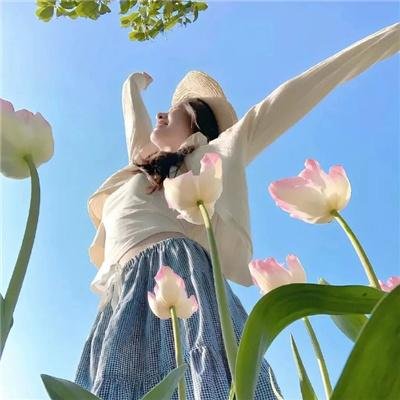 铤而走险$步步高升